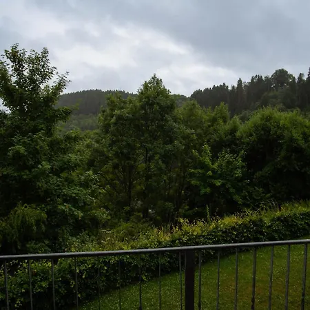 Schwan * 몬샤우