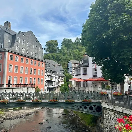 Schwan Monschau