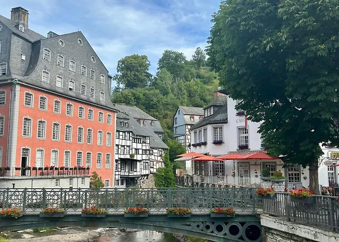 Schwan Monschau